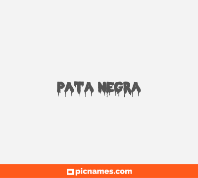 Pata Negra